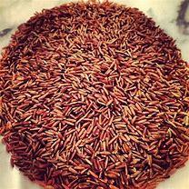 Red rice